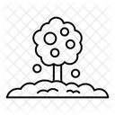 Fruit Tree Tree Nature Icon