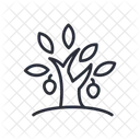 Tree Nature Garden Icon