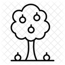 Fruit Tree Tree Nature Icon