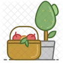 Fruits Fruit Drink Icon