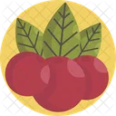 Thanksgiving Fruits Food Icon