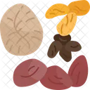 Fruits Dried Appetizer Icon