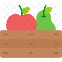 Fruits Vegetables Food Icon