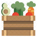 Fruits And Vegetables  Icon