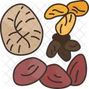 Fruits  Icon