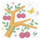 Fruits  Icon
