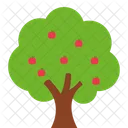 Fruits Tree Eco Ecology Icon