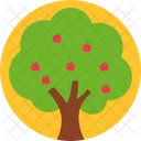 Fruits Tree  Icône
