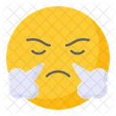 Frustrated Angry Furious Icon