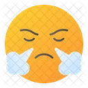 Frustrated Angry Furious Icon