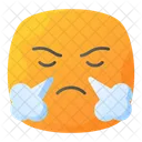 Frustrated Angry Furious Icon