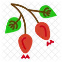 Fruta Hepatite Quadril Ícone