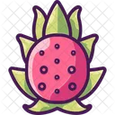 Dragonfruit Frutas Exoticas Colores Vibrantes Icono