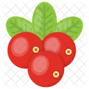 Vermelho Bagas Framboesa Ícone