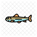 Fry Fish  Icon