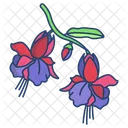 Fuchsia Flower Blossom Icon