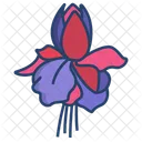 Fuchsia Flower Flowers Icon