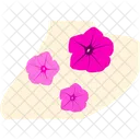 Fuchsia flower  Icon