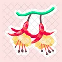 Fuchsia Flower  Icon