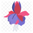 Fuchsia Flower Flowers Icon