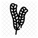 Fucus  Icon