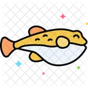 Fugu Pufferfish  Icon