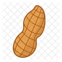 Full Peanut  Icon
