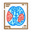 Functional Mri Neuroscience Icon