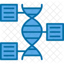 Functional Genomics Dna Functional Icon