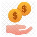 Funding  Icon