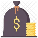 Funds Money Cash Icon