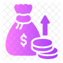 Funds  Icon