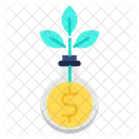 Funds Growth  Icon