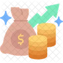 Funds Money Bag Growth Icon