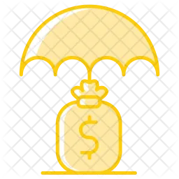 Funds Protection  Icon