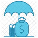 Funds Protection Security Icon