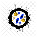 Fungal Structure Hyphae Infection Icon