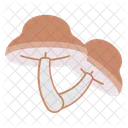 Fungi Button Mushroom Portobello Icon