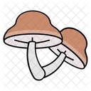 Fungi  Icon