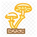 Fungi Mushroom  Icon