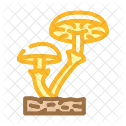 Fungi Mushroom  Icon