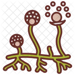 Fungi spores  Icon