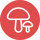 Fungo Fungo Ostrica Funghi Icon