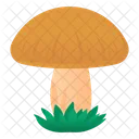 Fungus Toadstool Mushroom Icon