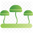 Fungus  Icon