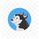 Husky Dog Cute Icon