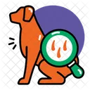Fur Checkup Icon