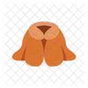 Fur Coat Coat Fur Icon