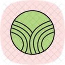 Furrow Patterns Icon