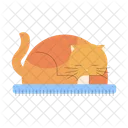 Furry Cat Sleeping Cat Cat Icon